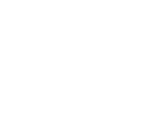 IDDD logo